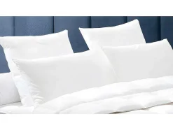 Almofada Dodo Natural Penugem Baffin - 65 X 65 Cm
