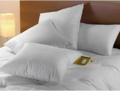 Almofada Dodo Natural Penugem Baffin - 65 X 65 Cm