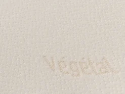 Almofada Ergonomica Memória De Forma Dodo Vegetal 60X60 Cm