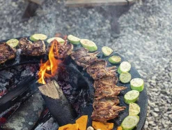 Barbecue Avec Plaque Ronde, Grill Et Support