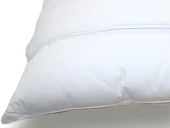Conjunto De 2 Protetores De Almofadas Dodo Absorventes De 65X65 Cm - Ultra Conforto