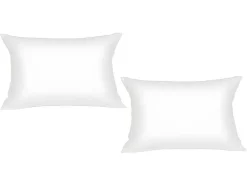 Conjunto De 2 Protetores De Almofada Dodo Absorventes De 60X60 Cm - Ultra Conforto