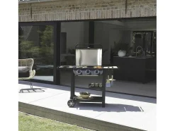 Cook'In Garden - Churrasqueira A Gas Flavo 60 Em Carrinho