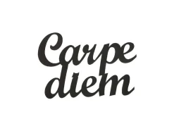 Decoração Metalica Carpediem, Preto, 50X1,5X38 Cm, Epikasa