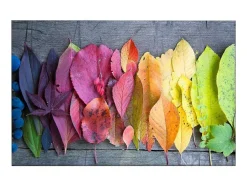 Impressao Em Tela Folhas Coloridas 3, Multicolorido, 150X3X100 Cm, Epikasa