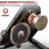 Maquina De Remo Magnetica Para Casa, Ginasio, Escritório, Treino 16 Niveis De Resistencia Ajustavel Com Monitor Lcd
