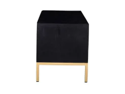 Móvel De Tv Com 2 Portas E 1 Prateleira Em Madeira De Mangueira E Metal Preto E Dourado - Analimy