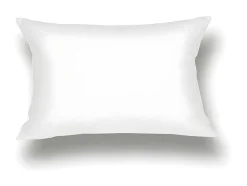 Protetor De Almofada Dodo Absorvente De 60 X 60 Cm - Ultra Conforto